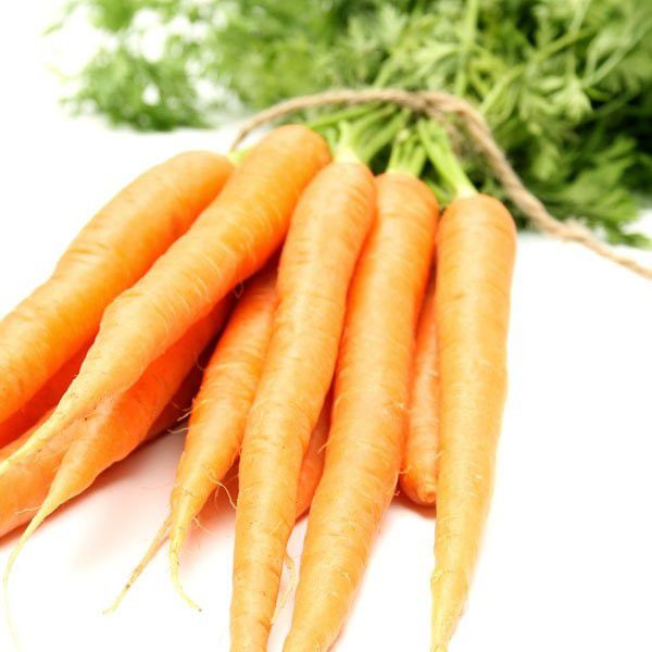 Обыкновенная морковь