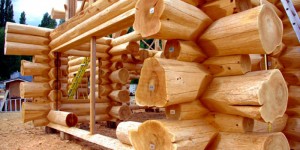 Подготовка к строительству деревянного дома: планировка